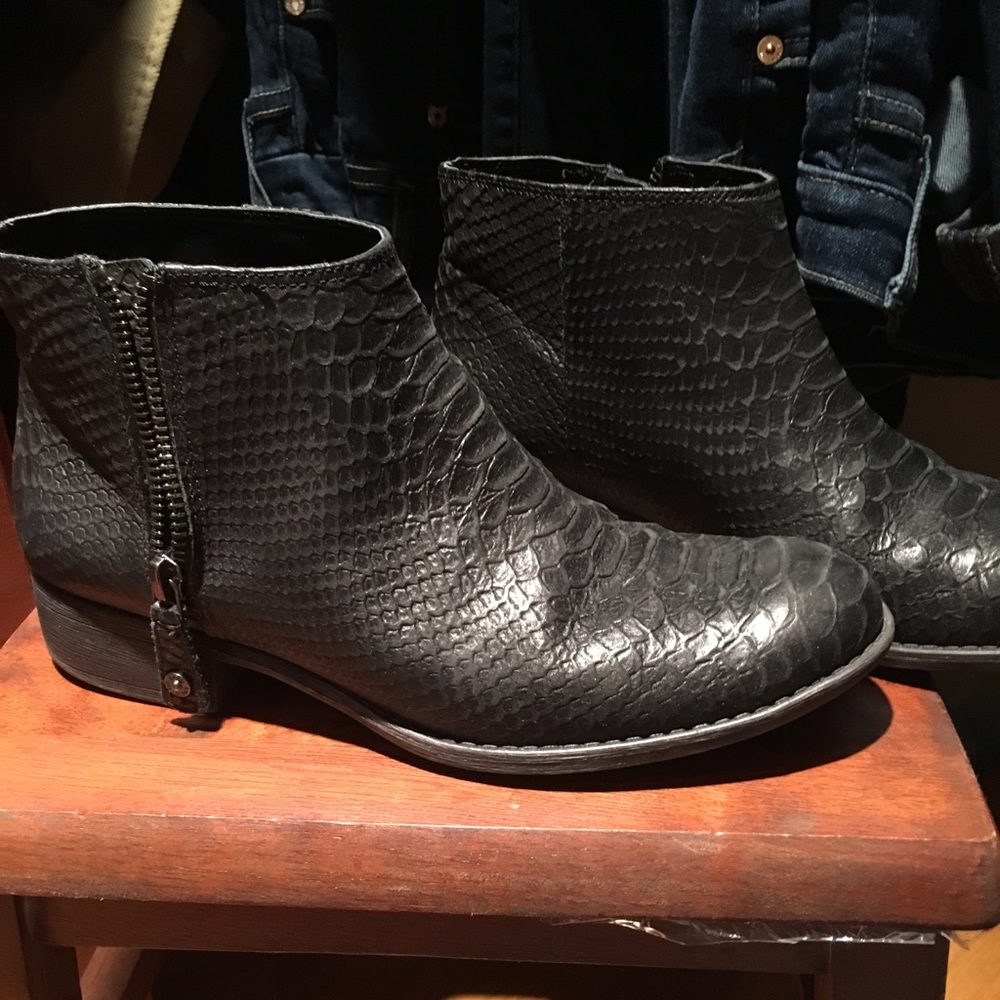 Enzo Angiolini Short Snake Skin Booties-Black